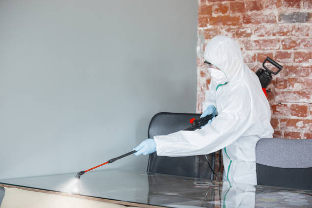 Best Environmental Consulting for Mold Prevention in Troy, AL